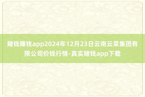 赌钱赚钱app2024年12月23日云南云菜集团有限公司价钱行情-真实赌钱app下载