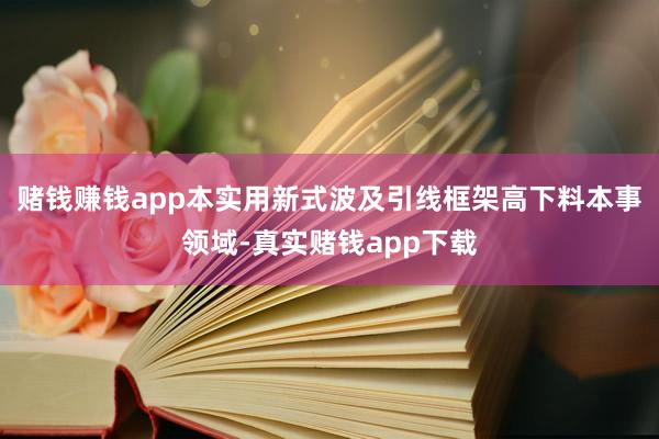 赌钱赚钱app本实用新式波及引线框架高下料本事领域-真实赌钱app下载
