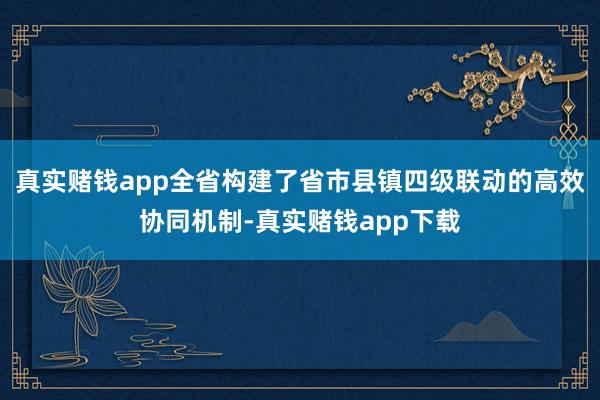 真实赌钱app全省构建了省市县镇四级联动的高效协同机制-真实赌钱app下载