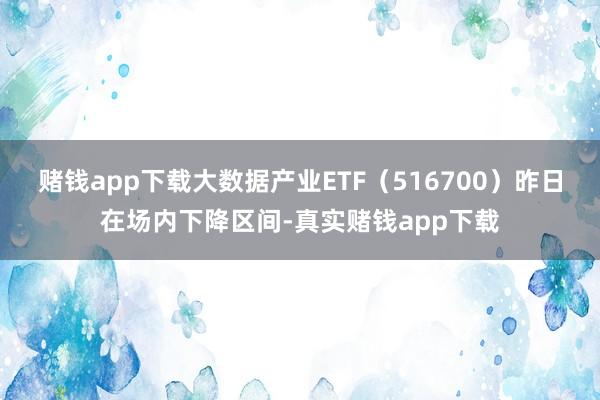 赌钱app下载大数据产业ETF（516700）昨日在场内下降区间-真实赌钱app下载