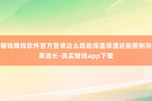 赌钱赚钱软件官方登录这么既能保温保湿还能箝制杂草滋长-真实赌钱app下载