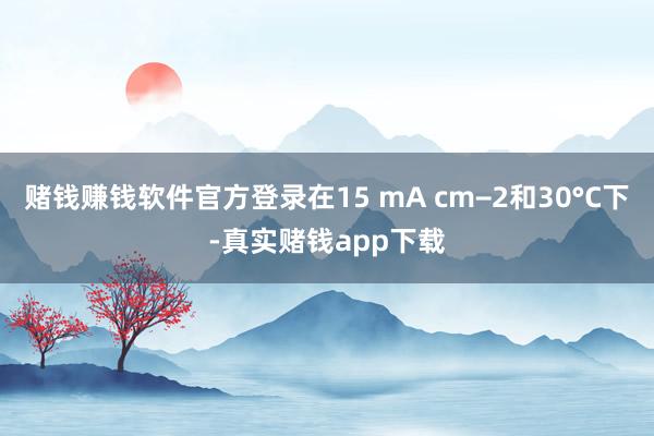 赌钱赚钱软件官方登录在15 mA cm−2和30°C下-真实赌钱app下载