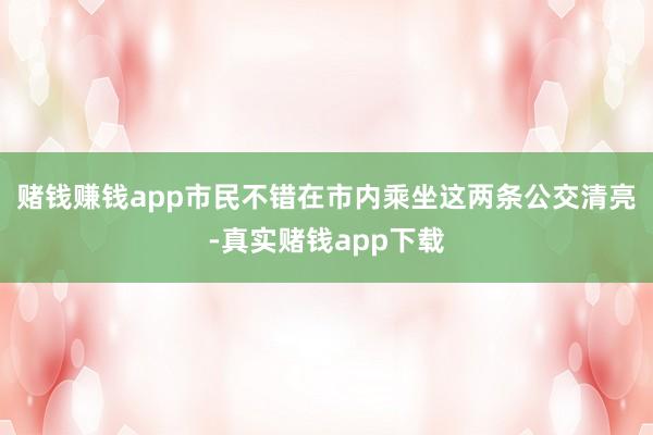赌钱赚钱app市民不错在市内乘坐这两条公交清亮-真实赌钱app下载