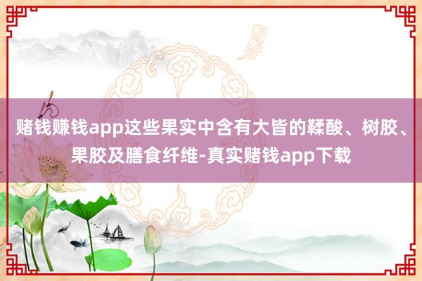 赌钱赚钱app这些果实中含有大皆的鞣酸、树胶、果胶及膳食纤维-真实赌钱app下载