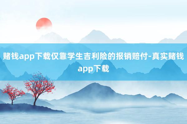 赌钱app下载仅靠学生吉利险的报销赔付-真实赌钱app下载