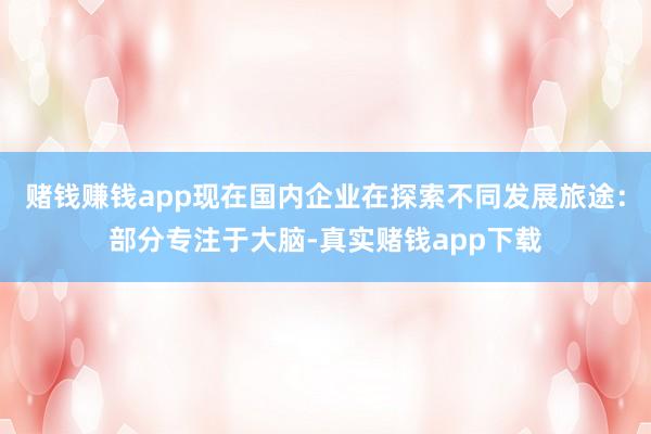 赌钱赚钱app现在国内企业在探索不同发展旅途:部分专注于大脑-真实赌钱app下载