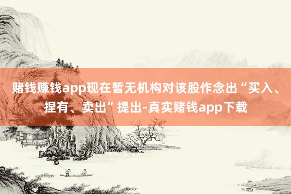 赌钱赚钱app现在暂无机构对该股作念出“买入、捏有、卖出”提出-真实赌钱app下载