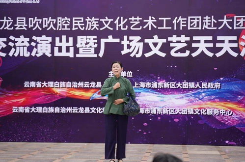 云龍吹吹腔藝術之花綻放大團鎮，兩地文化藝術交流譜新篇